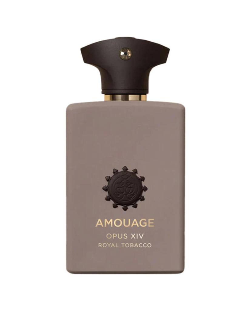 Amouage Mens Collection EDP